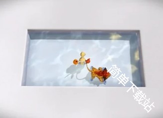 图片8
