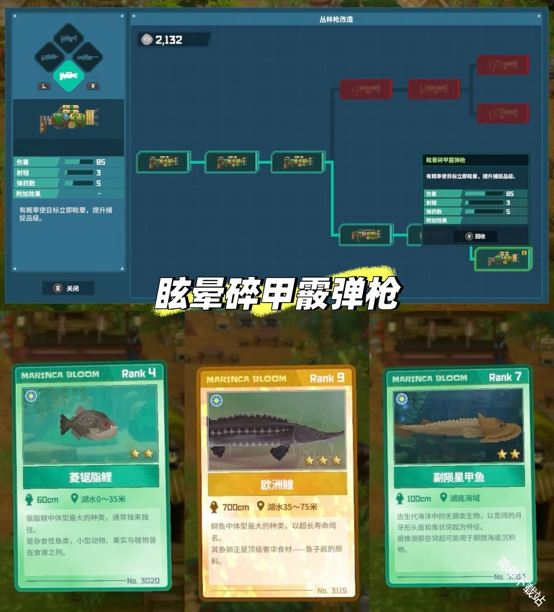 图片3