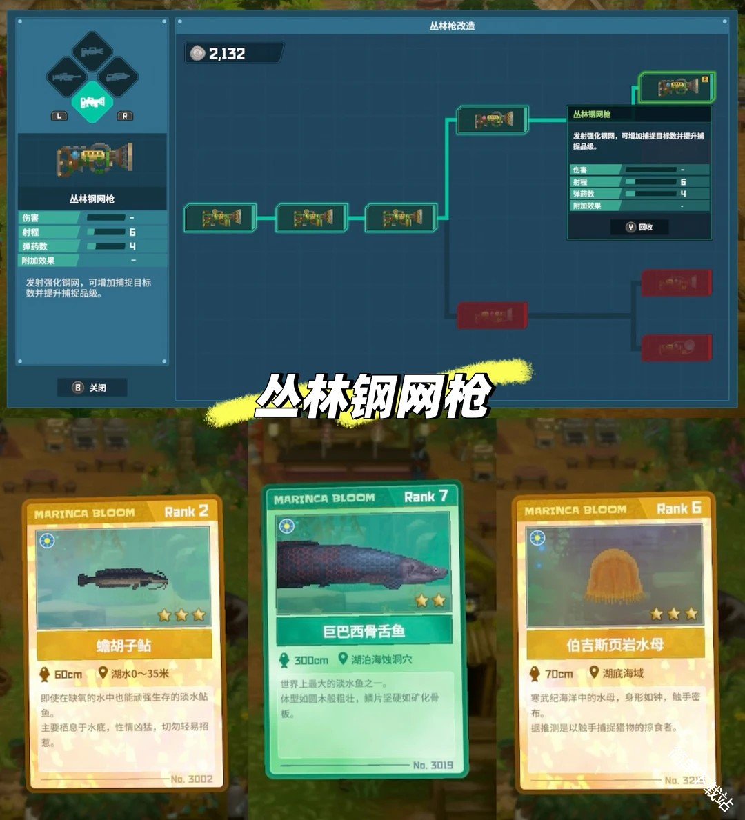 图片4