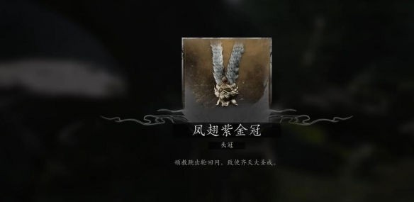 图片7