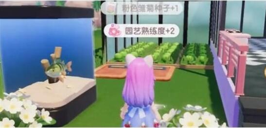 心动小镇花朵怎么杂交 心动小镇花朵杂交玩法攻略
