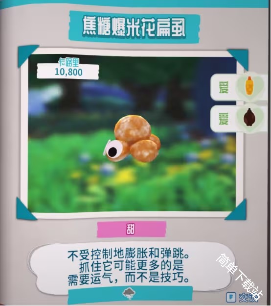图片11