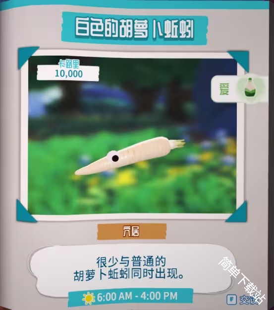 图片3