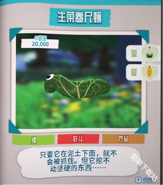 图片6