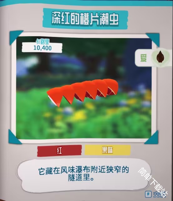 图片9