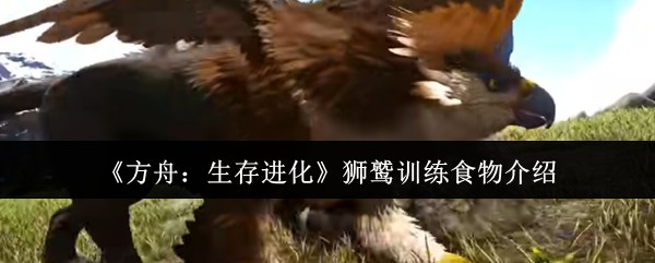 狮鹫训练必备食物指南
