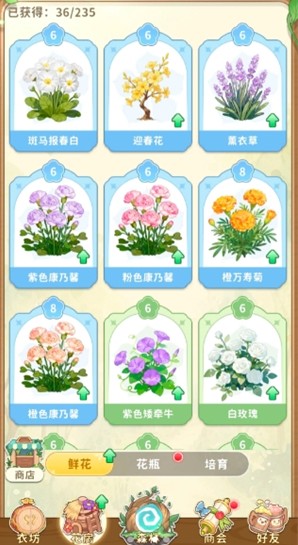 图片5