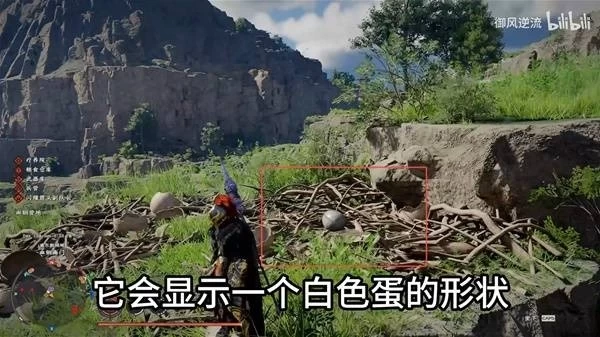 图片5