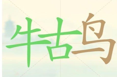 图片3