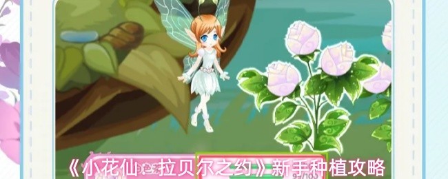 小花仙：拉贝尔之约新手种植指南