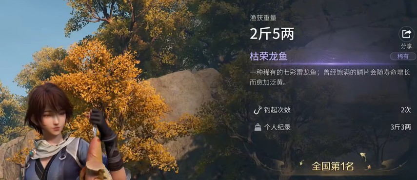 图片4