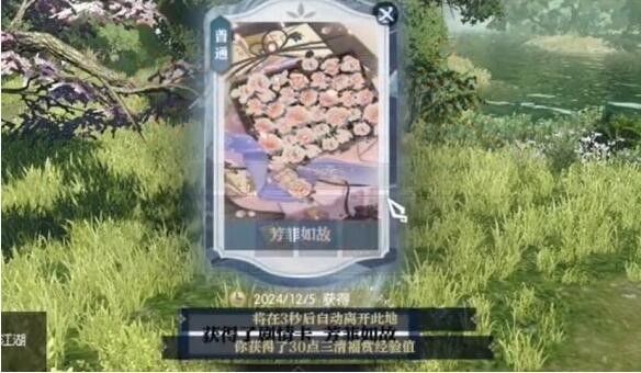 图片4