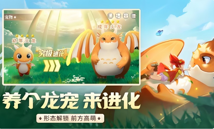 图片4