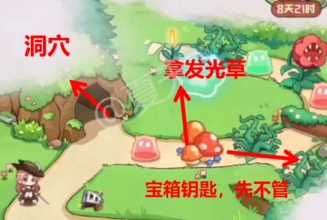 图片5