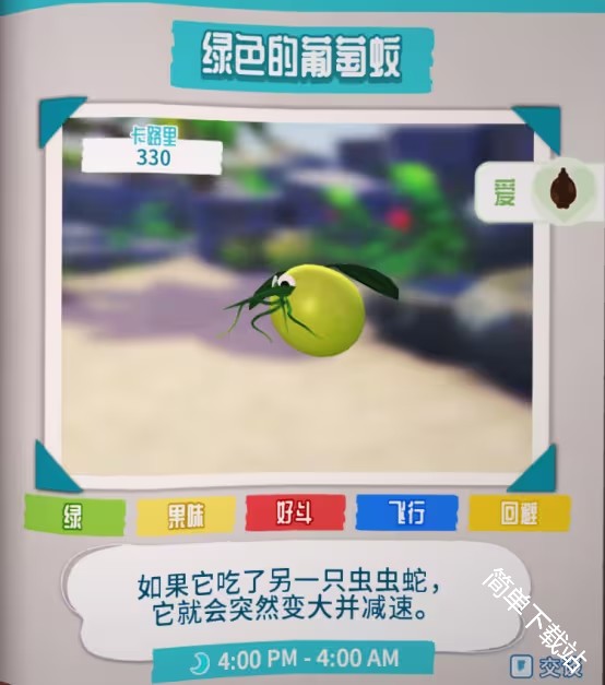 图片6