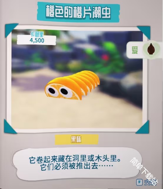 图片4
