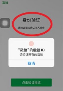 图片8