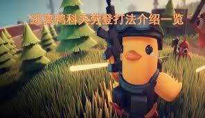 图片3