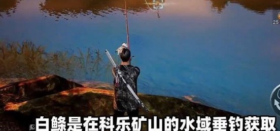 图片5