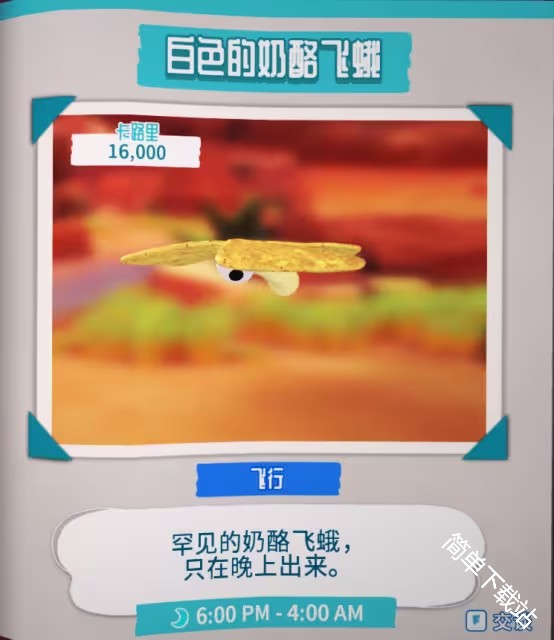 图片6