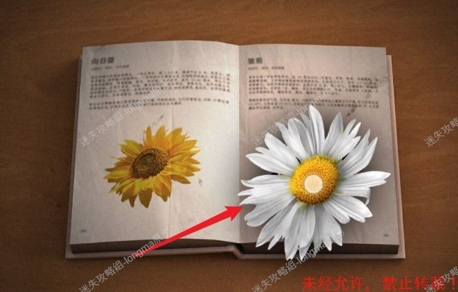 图片4
