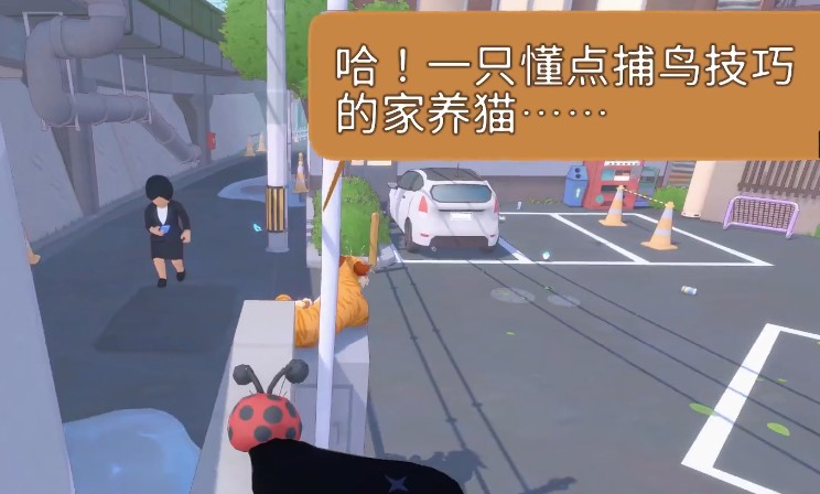 图片4
