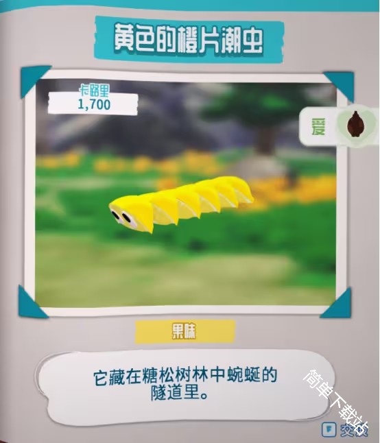 图片7