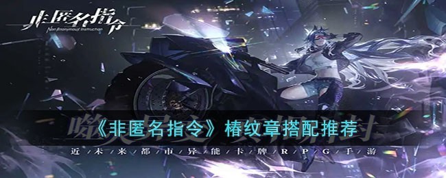 非匿名指令椿纹章搭配推荐攻略