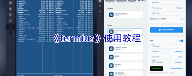 Termius使用教程：全面指南与操作详解