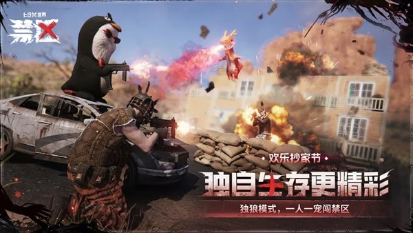 图片7