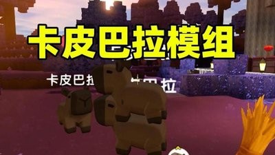 图片2