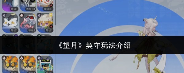 望月契守玩法探索
