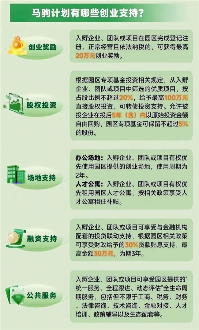 图片7