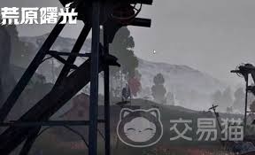 图片3