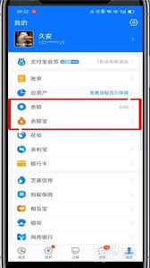 支付宝余额查询入口