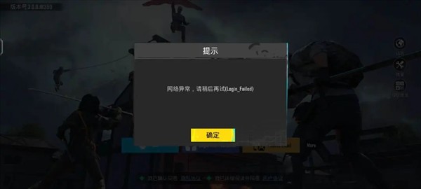 图片3