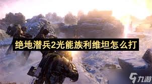 图片3