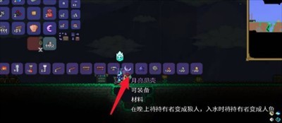 图片3