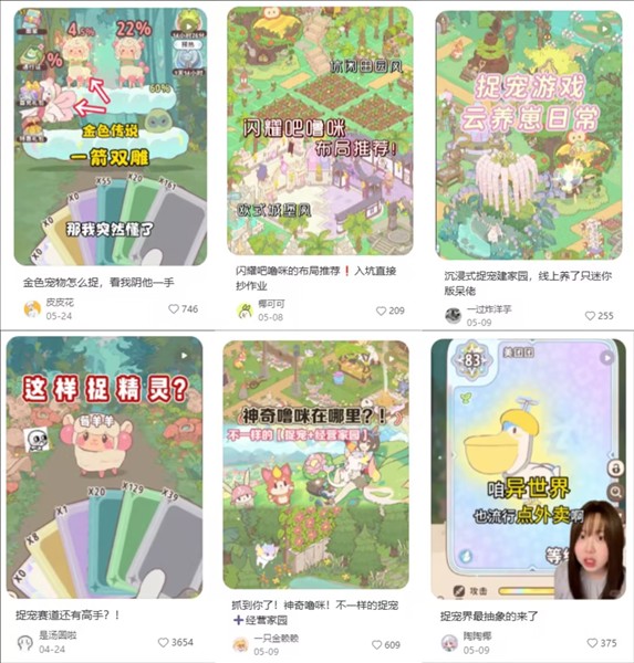 图片6