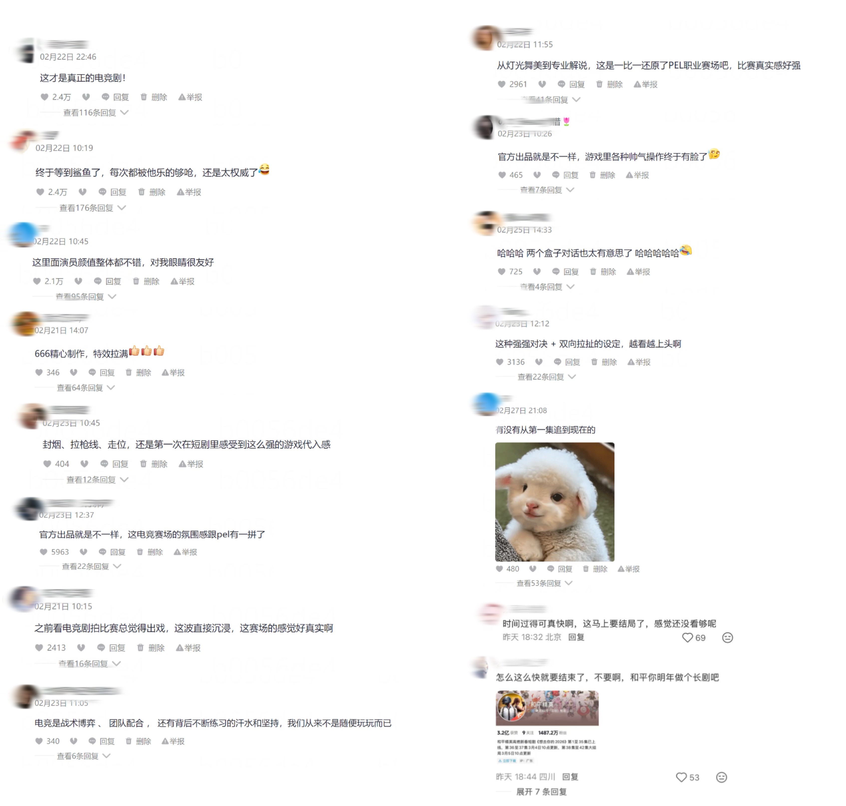 图片5