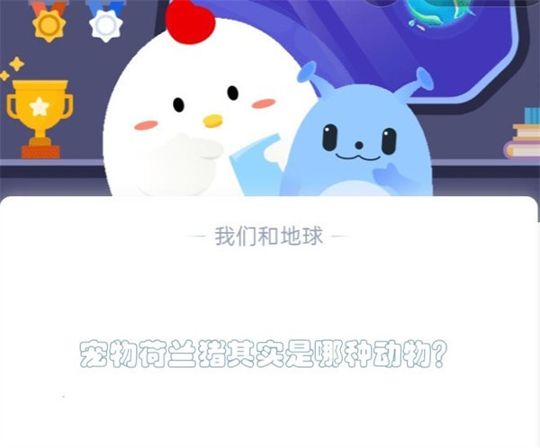 蚂蚁庄园5月7日答案解析：荷兰猪的真实身份揭晓