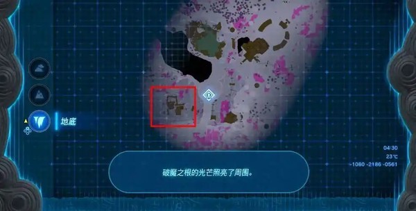 图片3