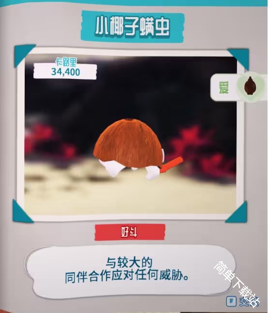 图片11