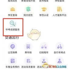 图片4