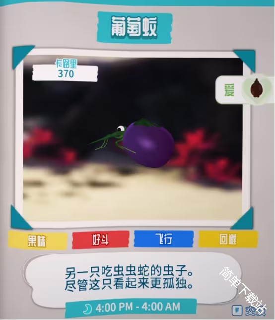 图片12