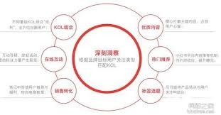精选种草指南：热门小红书分类推荐