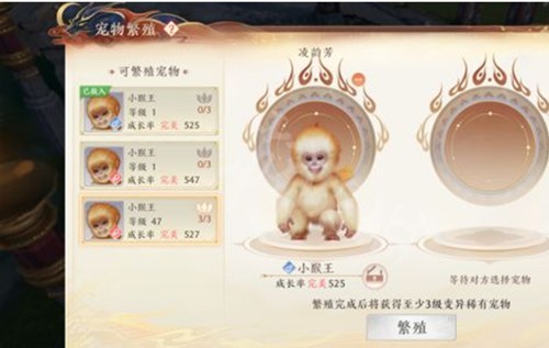 图片3