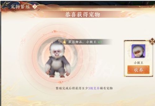 图片5