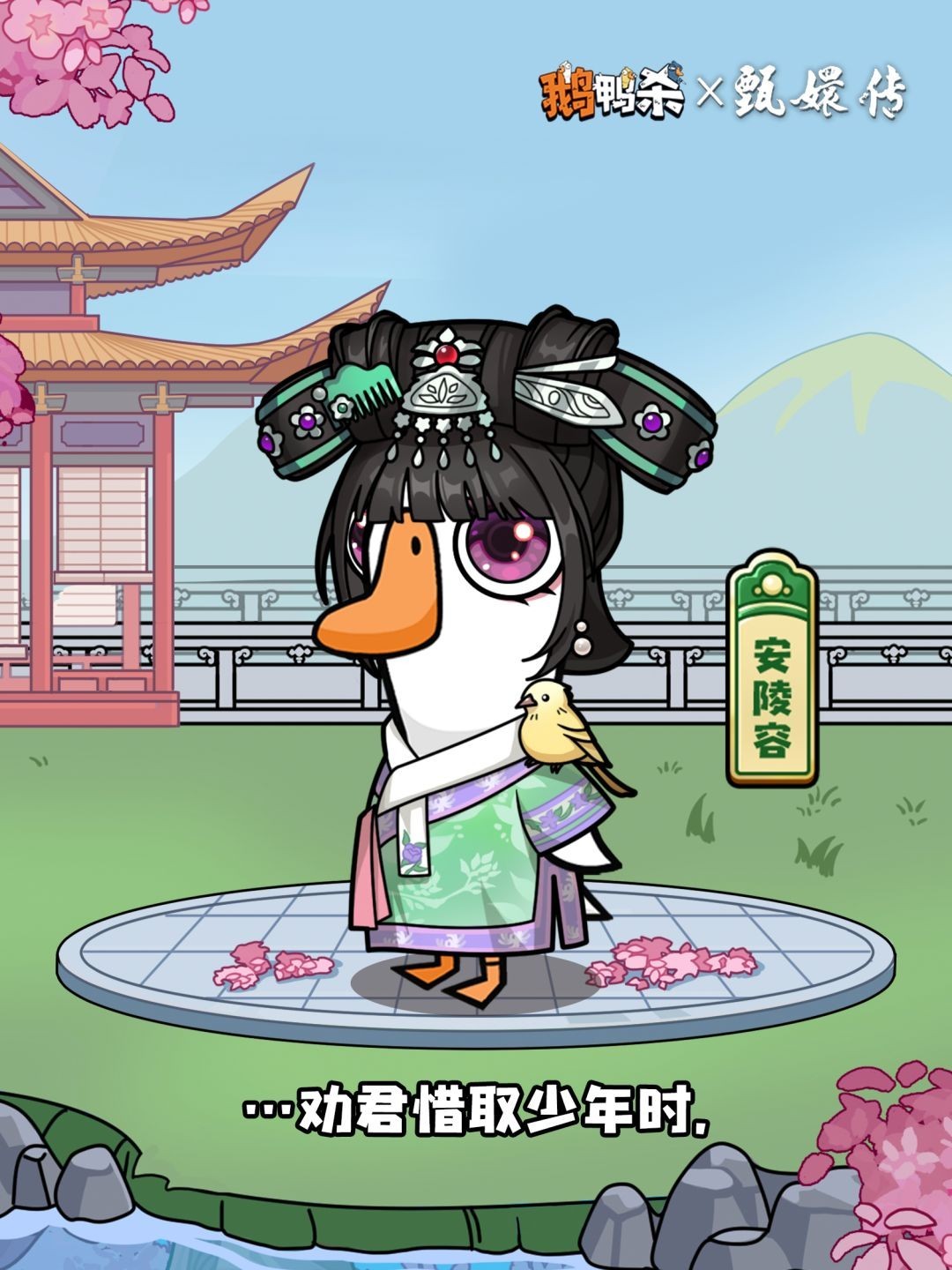 图片6