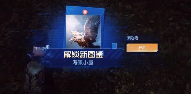 图片6